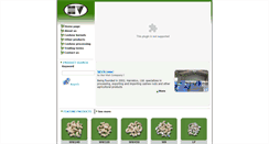 Desktop Screenshot of haivietco.com